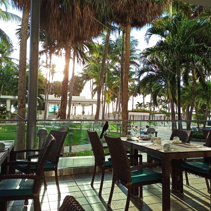 Gartenanlage Hotel Riu Plaza Miami Beach