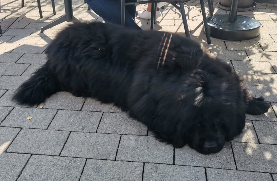 Sonstiges Wohlfühlresort Peternhof