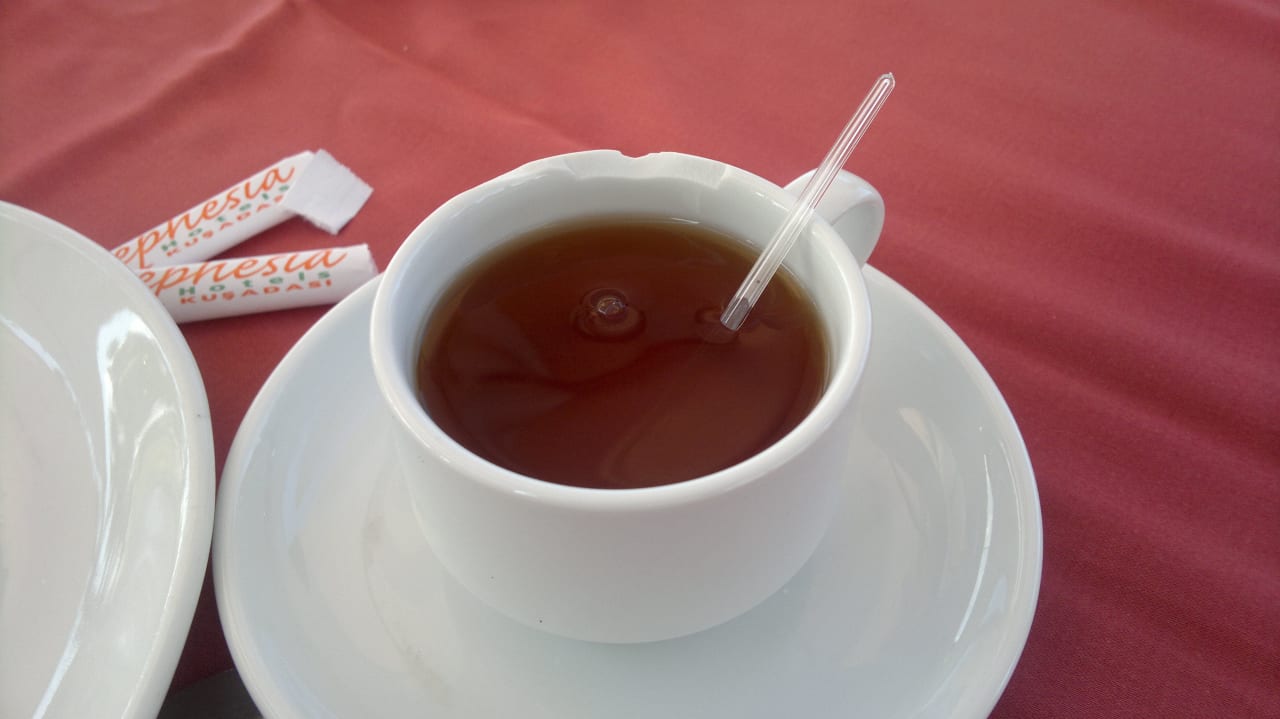 Stan zastawy w hotelu Ephesia Holiday Beach Club