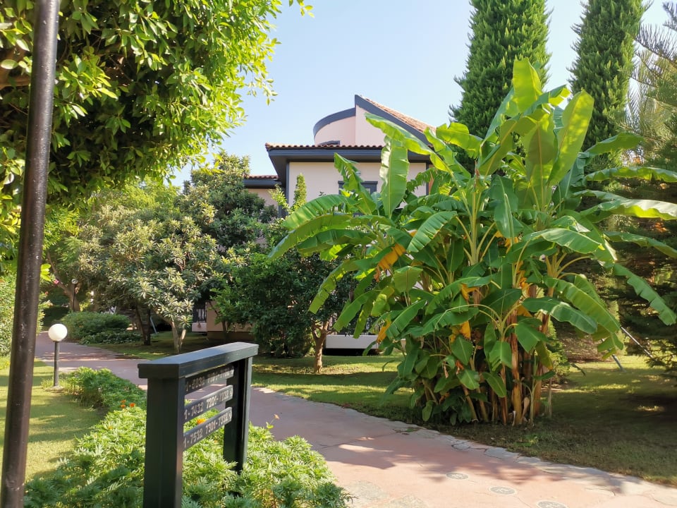 Gartenanlage Starlight Resort Hotel