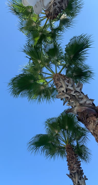 Strand Well Palace Side