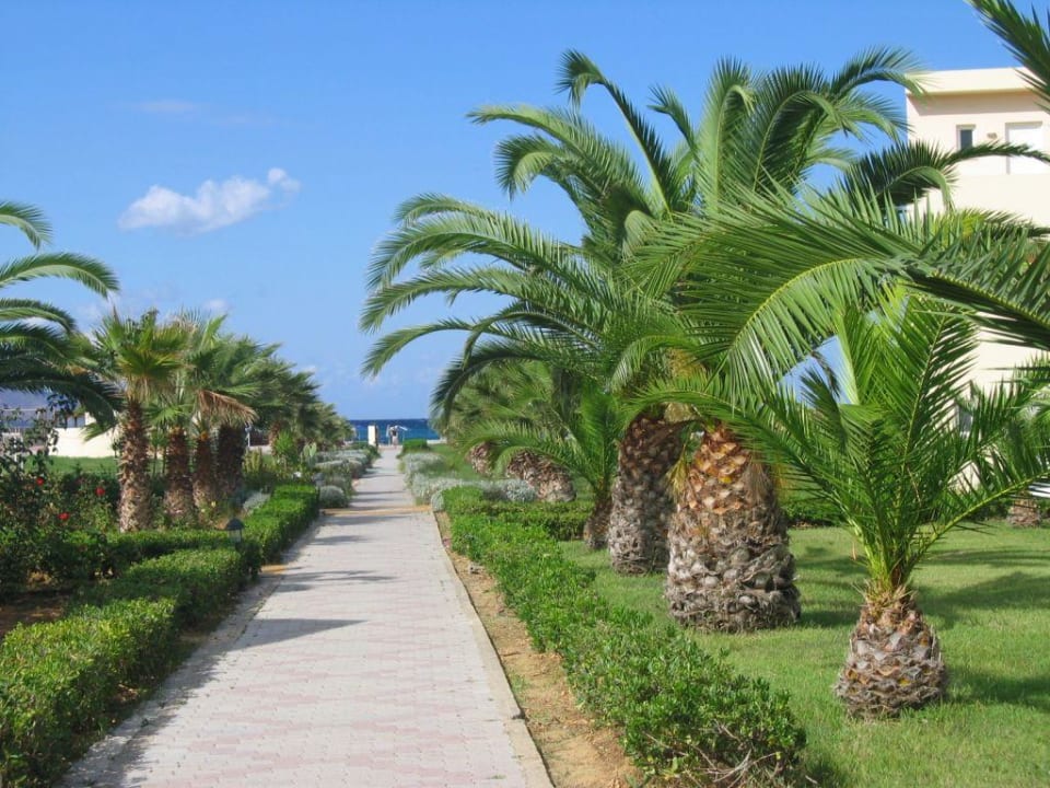 Hotel Delfina Beach Delfina Tropic Beach