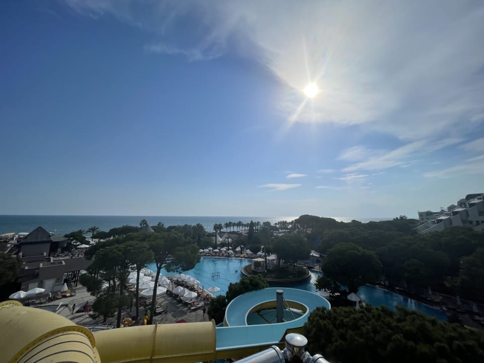 Außenansicht Papillon Ayscha