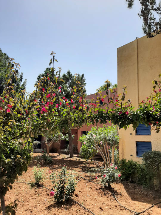 Gartenanlage Dessole Dolphin Bay Resort