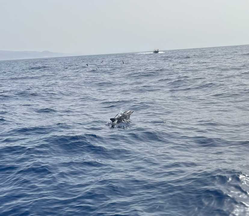 Strand allsun App.-Hotel Esquinzo Beach