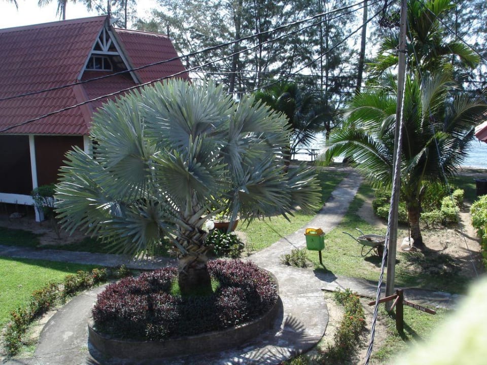 Paya Beach Resort Guesthouse Paya Beach Spa & Dive Resort