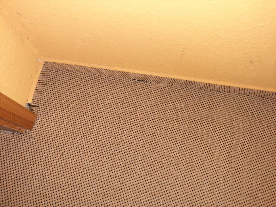 Zimmer Landhotel Harz