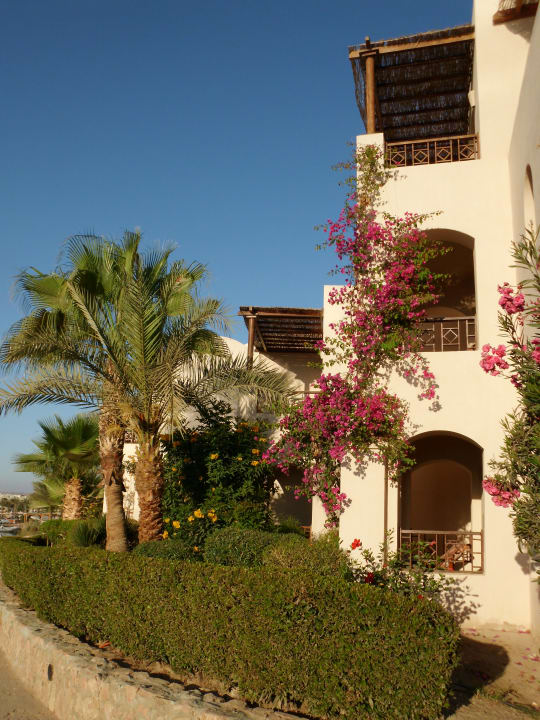 Gartenanlage Sultan Bey Hotel, El Gouna