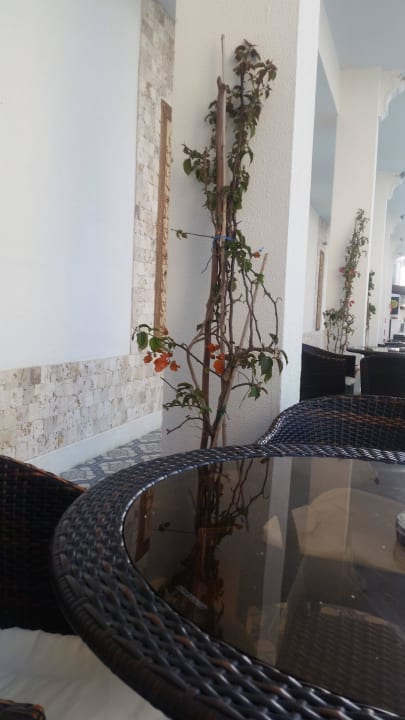 Laubengang Merve Sun Hotel & Spa