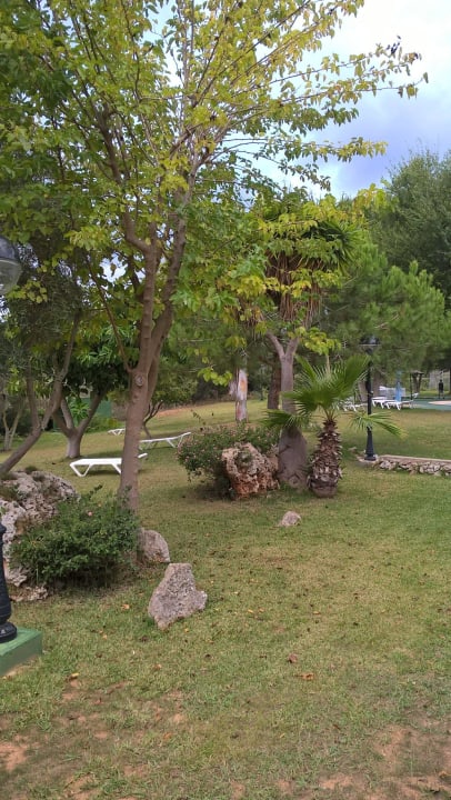 Wiese hinterm Spielplatz Hotel Club Cala Romani