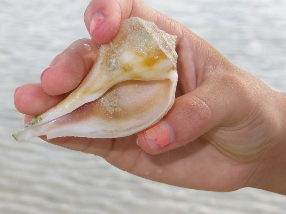 Selbsterklärend Hotel Villas Flamingos