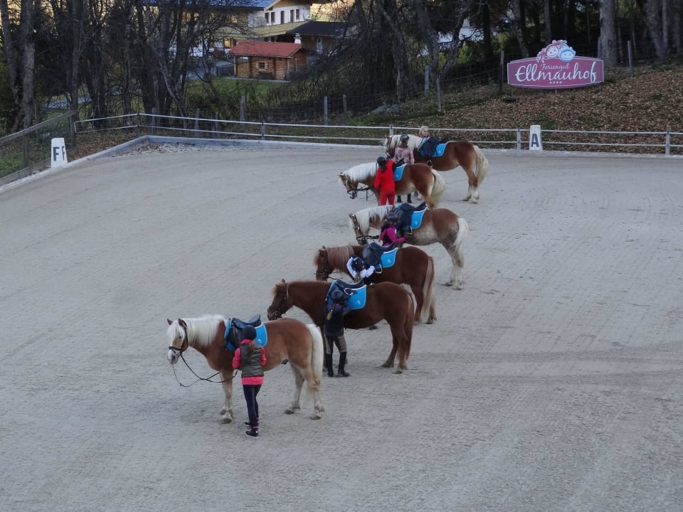 Reitunterricht Ellmauhof - das Generationenresort