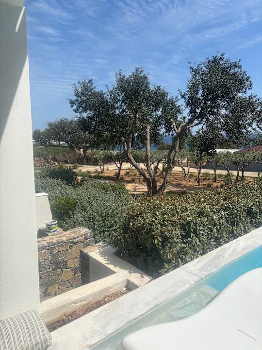 Gartenanlage Kakkos Beach Hotel