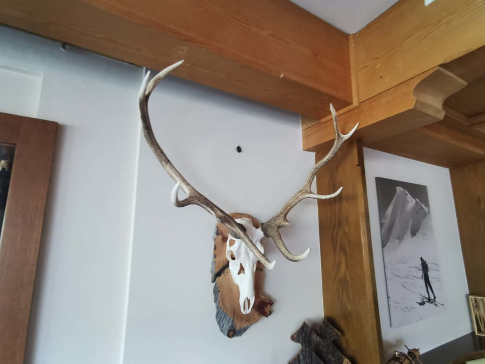 Gastro Hotel Vernagt am See