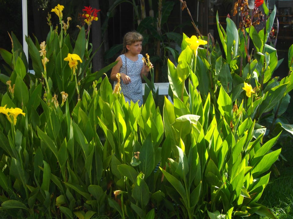 Schöne Blumenbeete Belek Beach Resort Hotel