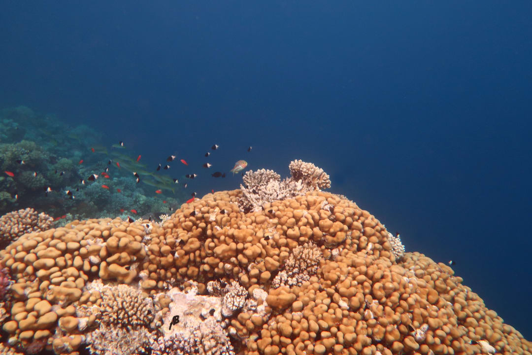 Strand Makadi Spa - Adults only