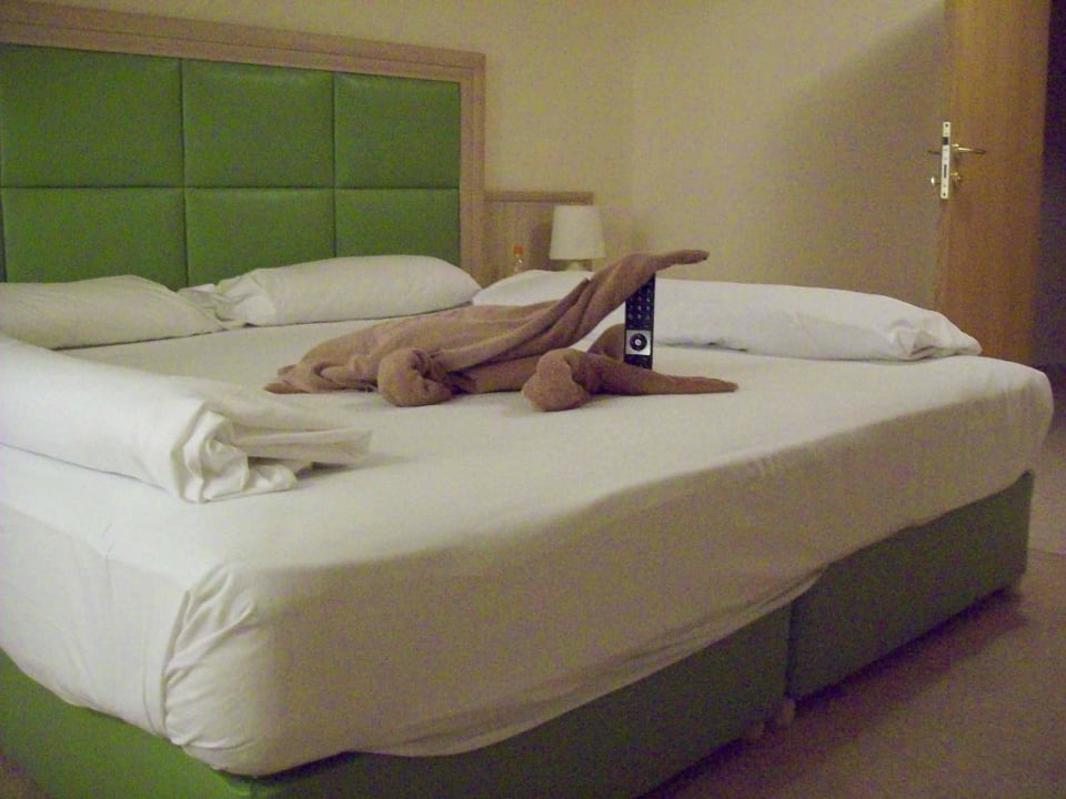 Jeden Tag ein anderes Motiv GRIFID Vistamar