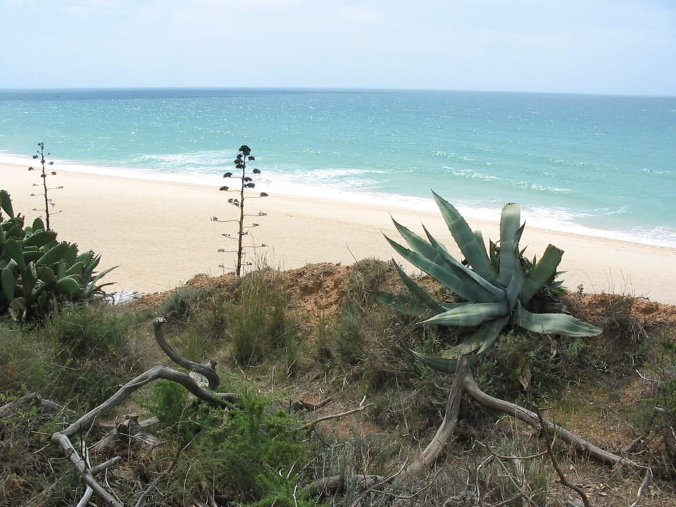 Strand 3HB Guaraná - All Inclusive