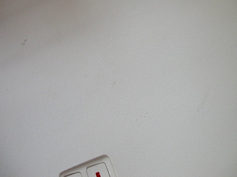 verfleckte Zimmerwand Ferienappartements Grolik