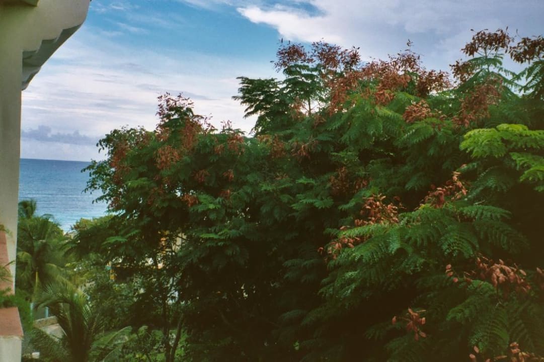 Blick vom Balkon Sol Rio De Luna y Mares