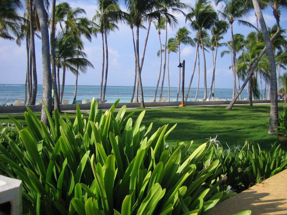 Blick zum Meer Club Med Punta Cana