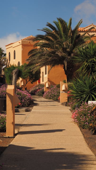 Gartenanlage Bakour Fuerteventura La Pared