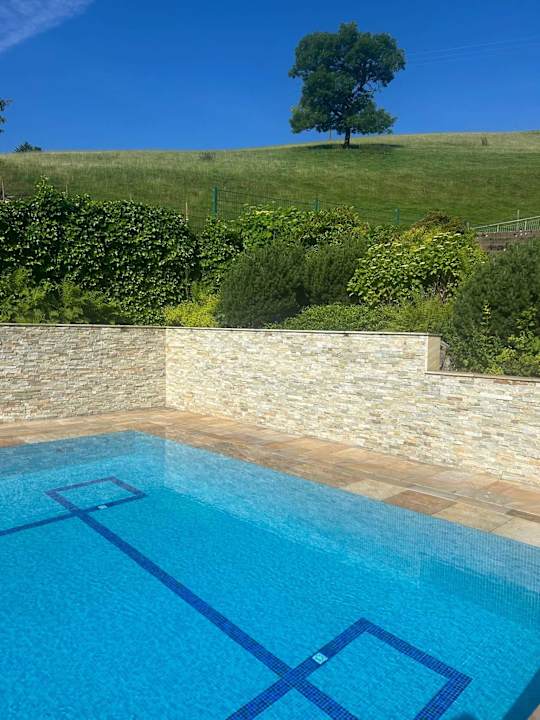 Pool Naturparkhotel Adler