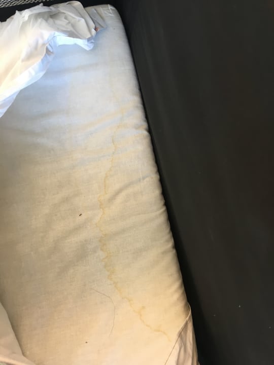 Zimmer ATLANTIC Hotel Wilhelmshaven