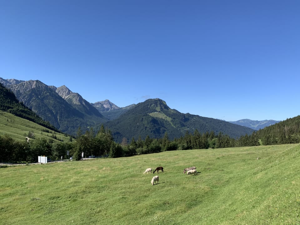 Ausblick Oberjoch - Familux Resort