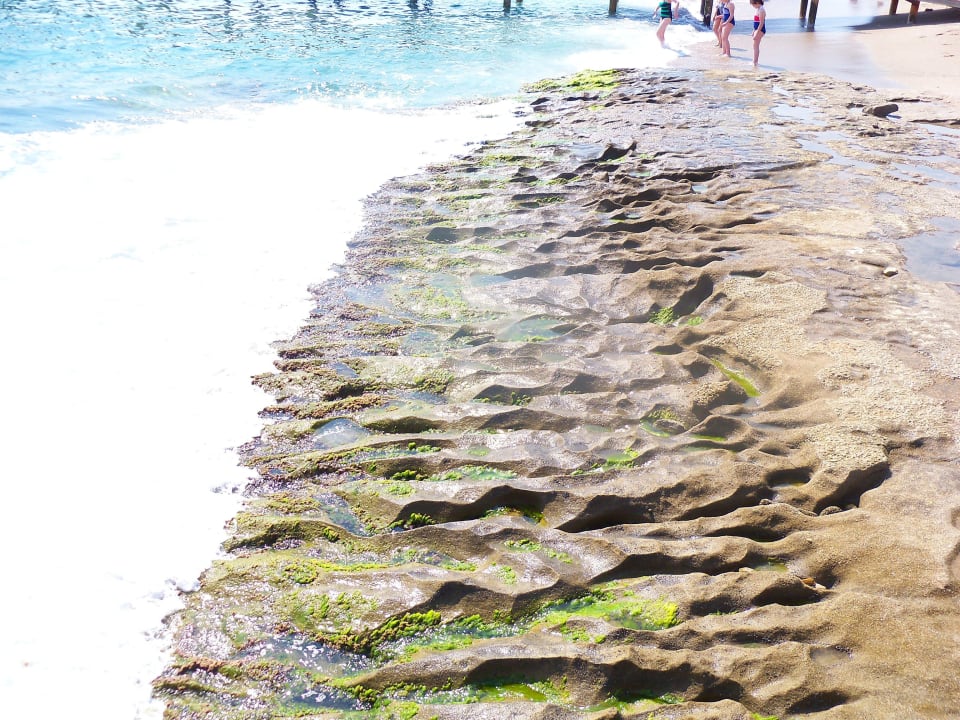 Nicht gut Dizalya Palm Garden