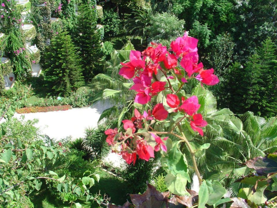 Botanik Botanik Hotel & Resort