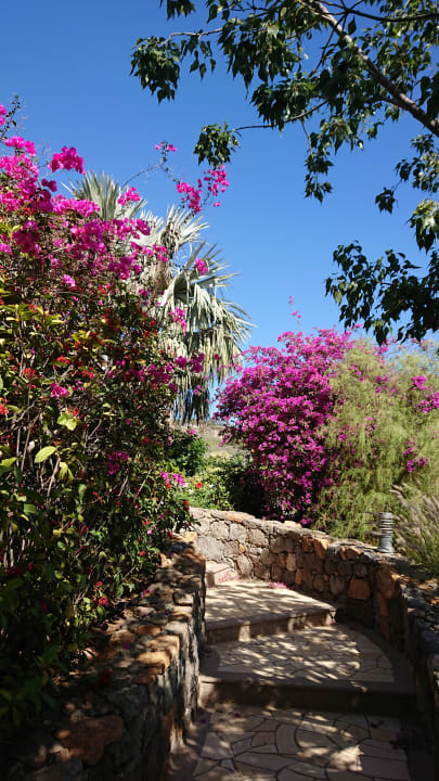 Gartenanlage Casa León Royal Retreat