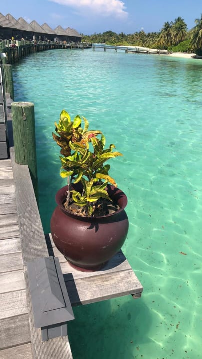 Strand Kuredu Island Resort & Spa