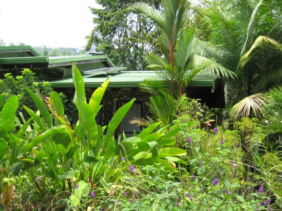 Traumhafter Blick über den Pazifik Finca Bavaria