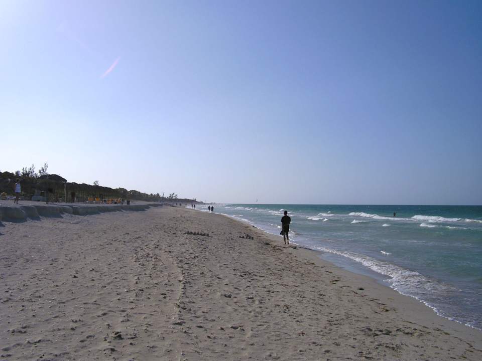 Iberostar Hotel Playa Alameda Iberostar Origin Playa Alameda