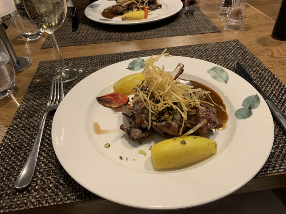 Gastro Acanthus Cennet Barut Collection