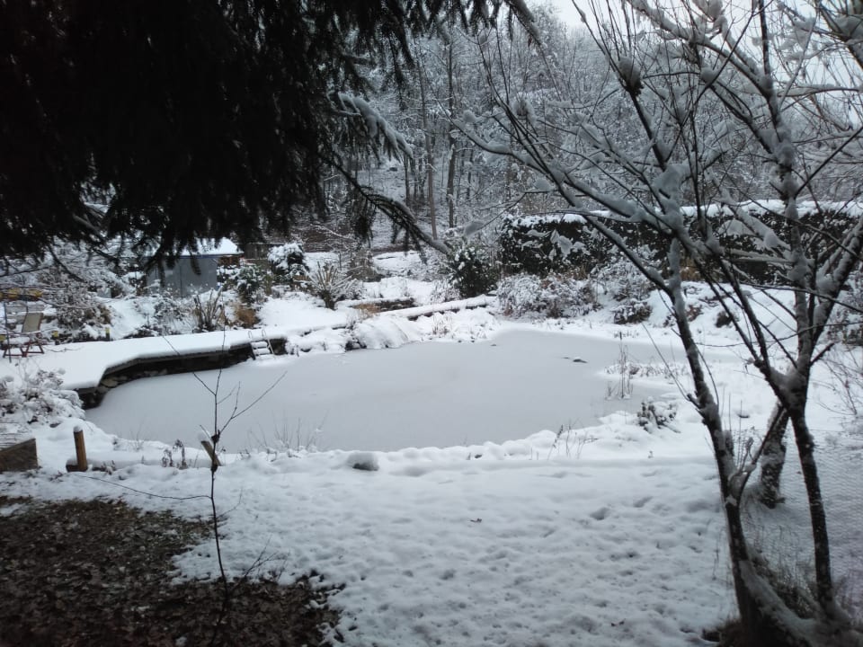 Pool Pension Die Mühle