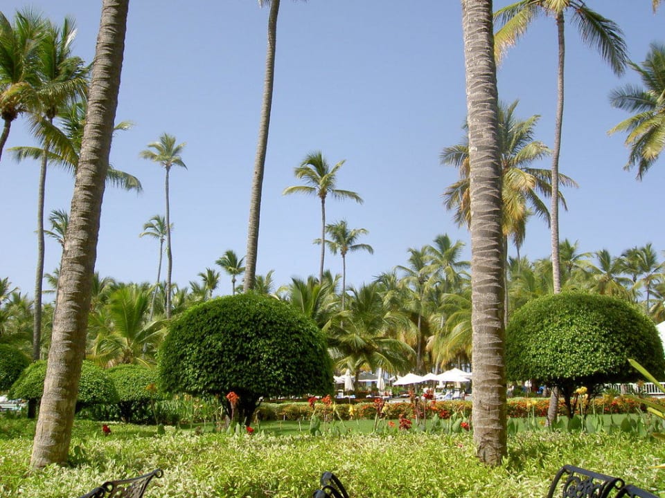 Gartenanlage zwischen Hotel und Pool Hotel Riu Palace Macao - Adults only