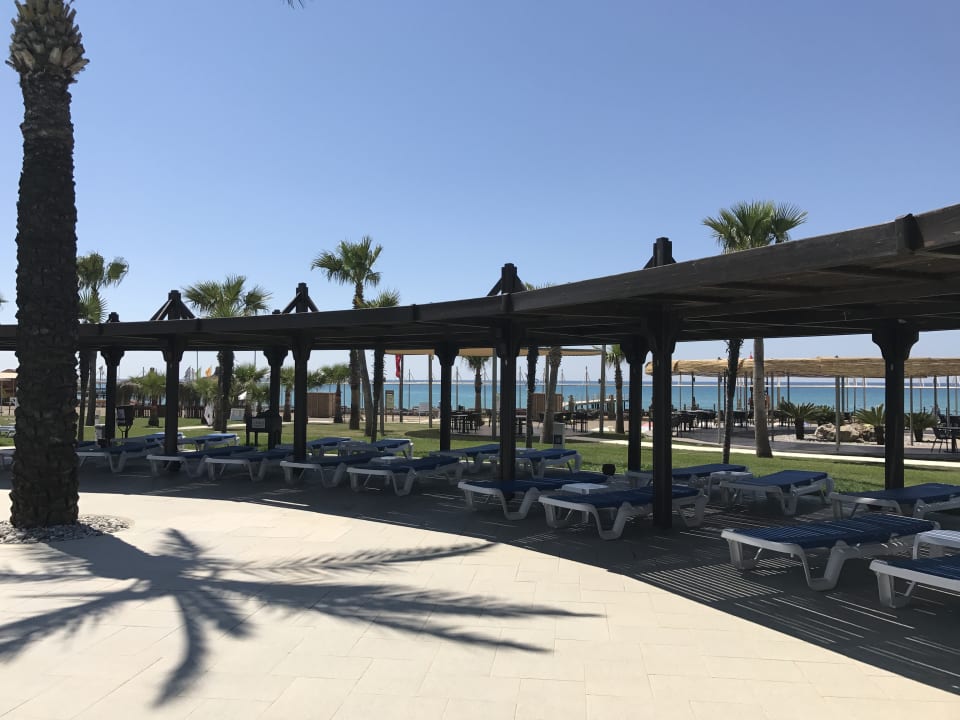 Sport & Freizeit TUI BLUE Palm Garden