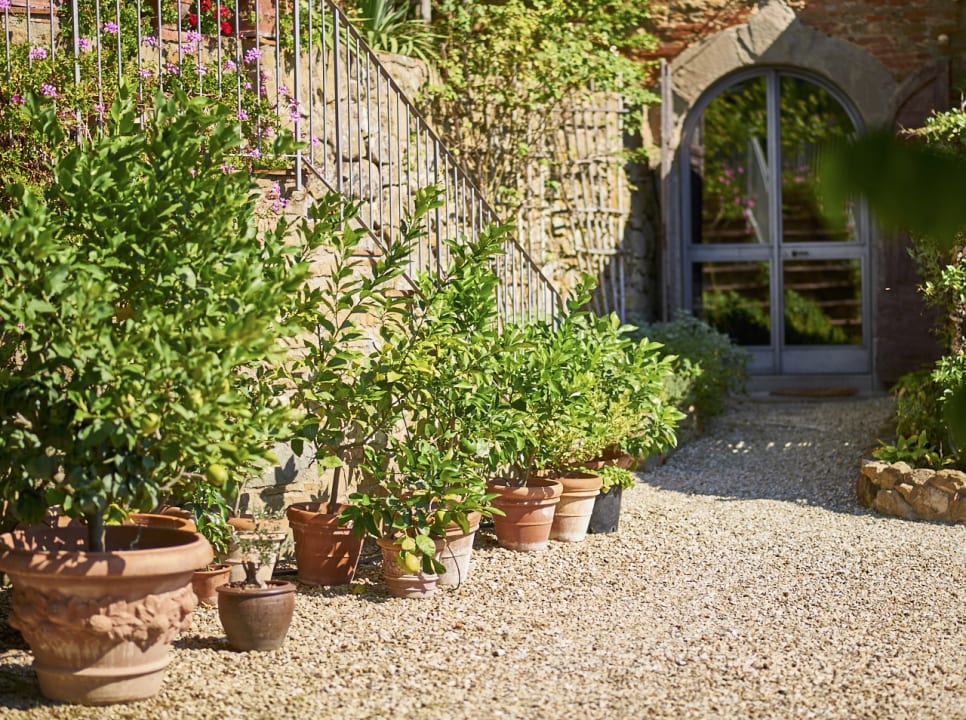 Sonstiges Ventena Vecchia antico frantoio