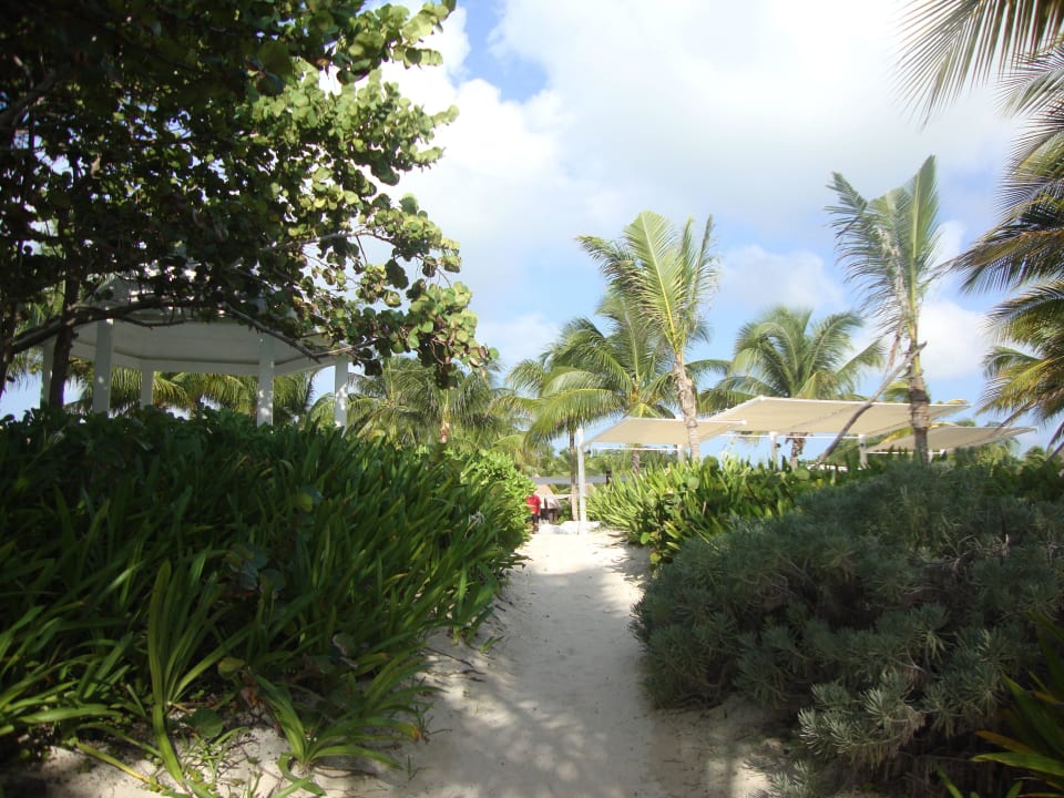 Hotel Catalonia Playa Maroma Catalonia Playa Maroma