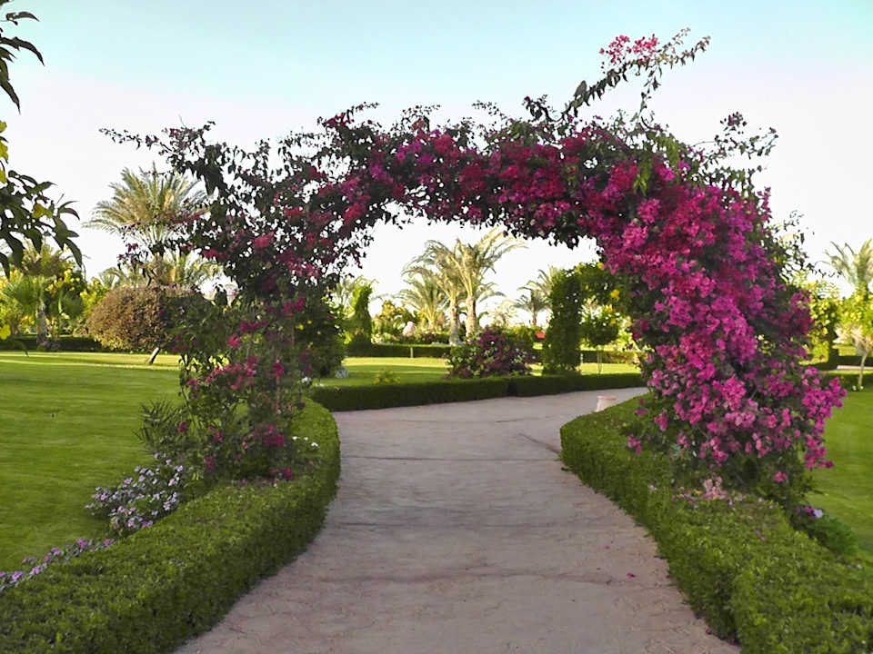 Gartenanlage Fantazia Resort Marsa Alam