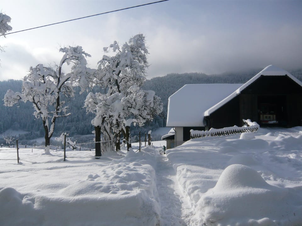 Winterwunderland Bauernhof Lacknerhof