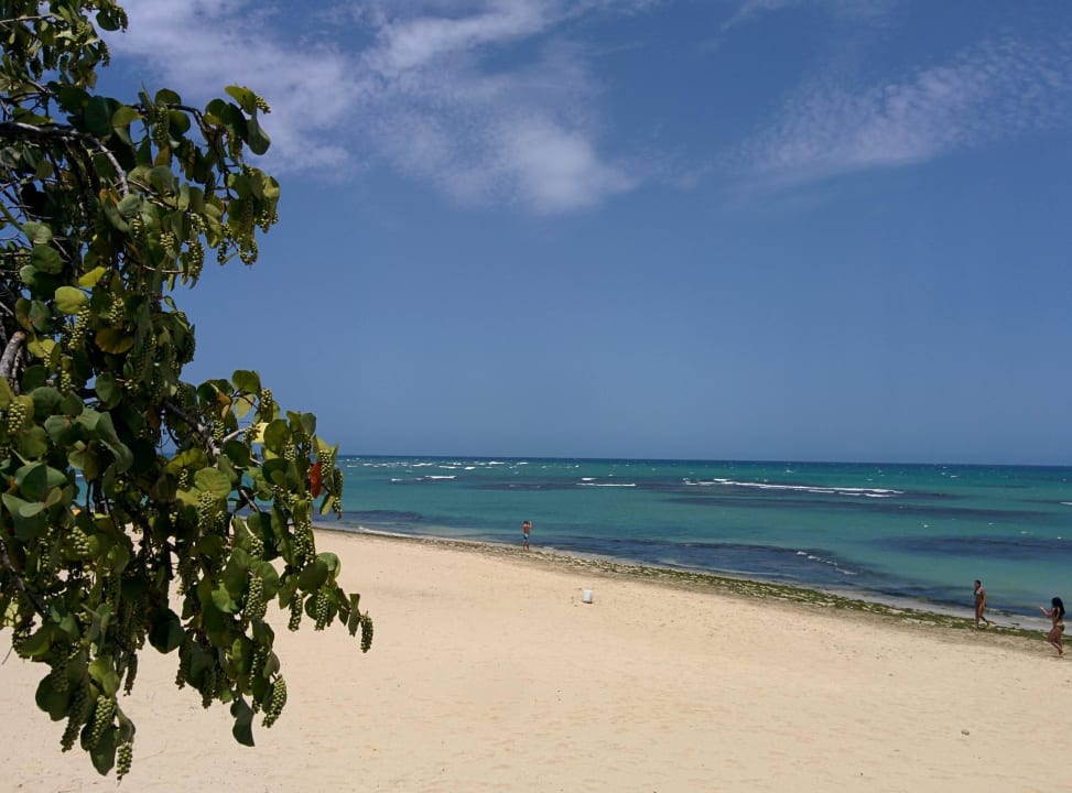 Strand Iberostar Waves Costa Dorada