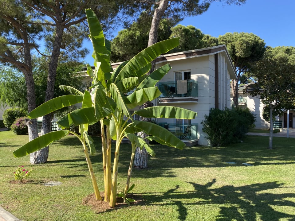 Außenansicht TUI MAGIC LIFE Masmavi