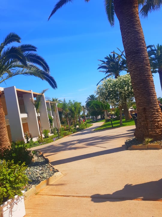 Gartenanlage Anissa Beach & Village