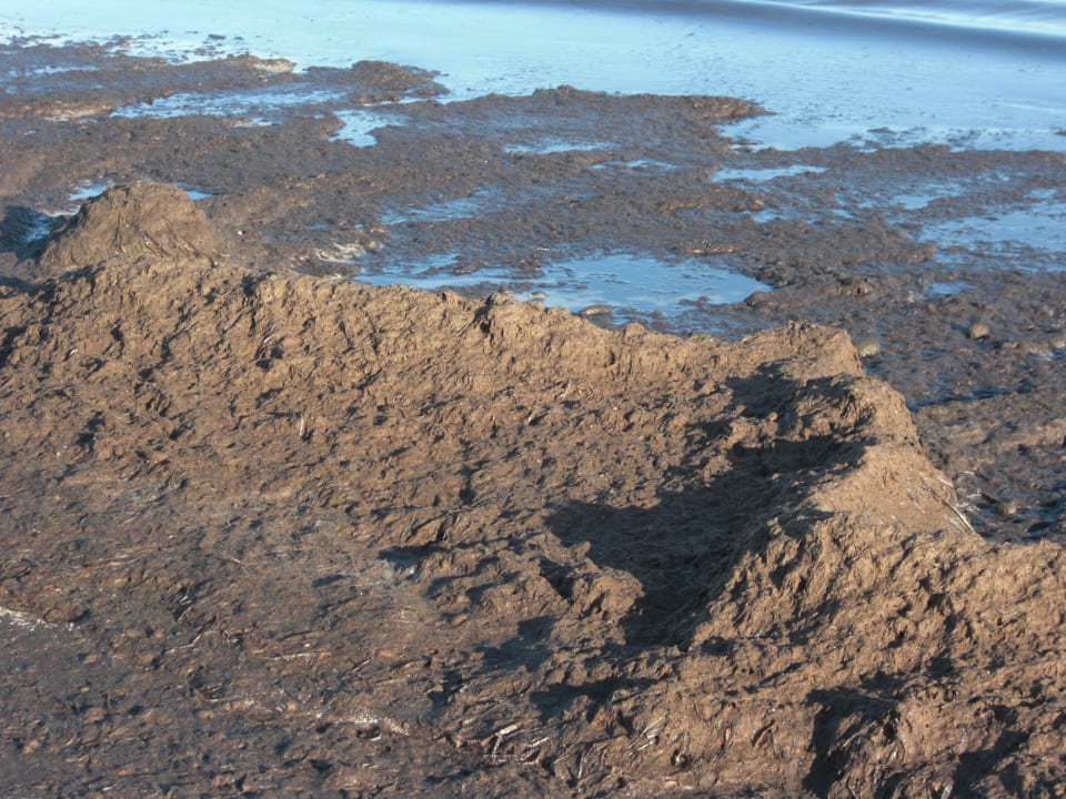 Meer/ Strand Hotel Bravo Djerba