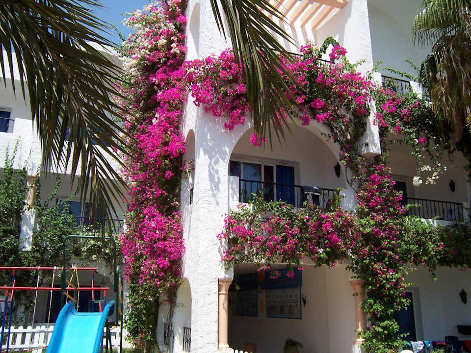 Nesrine Hotel Nesrine