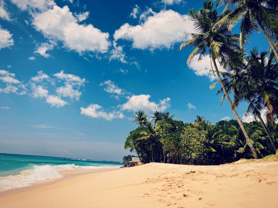 Strand Hotel Haus am Meer Wilde Ananas