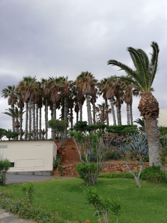 Gartenanlage Lyttos Beach Hotel